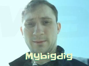 Mybigdig