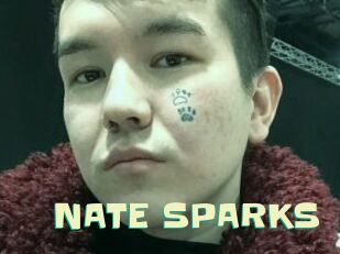 NATE_SPARKS