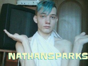 NATHAN_SPARKS