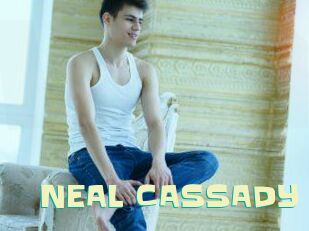 NEAL_CASSADY Wanna Meet