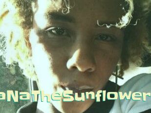 NaNaTheSunflower