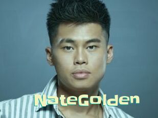 NateGolden Wanna Meet