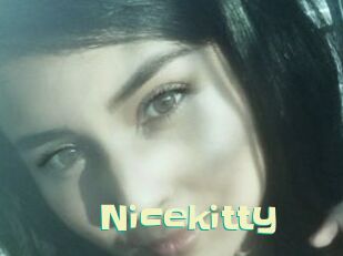 Nicekitty