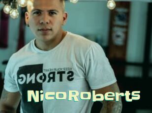 NicoRoberts Wanna Meet