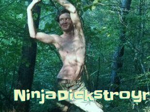 NinjaDickstroyr