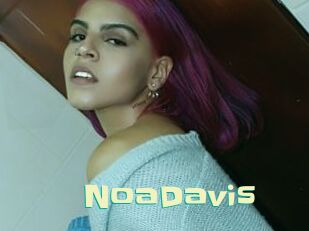 NoaDavis