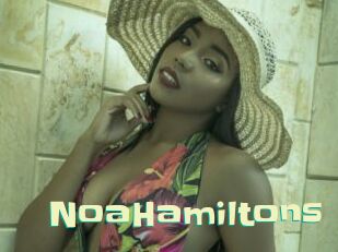 NoaHamiltons
