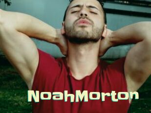 NoahMorton