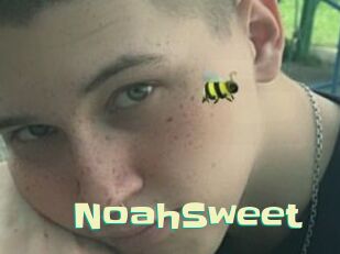 NoahSweet