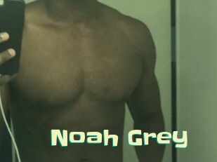 Noah_Grey