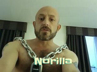 Norilla
