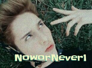 NoworNever1