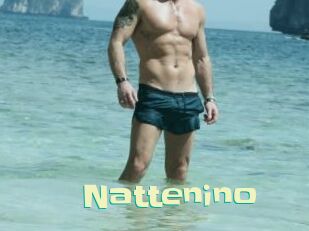 nattenino Wanna Meet