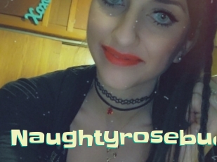 Naughtyrosebud