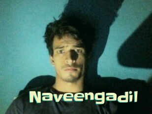 Naveengadil