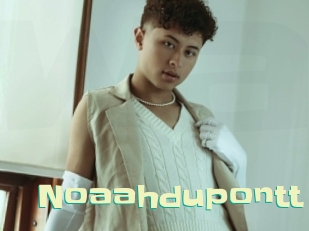 noaahdupontt Wanna Meet