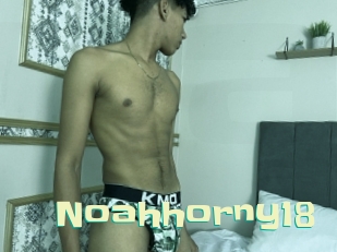 noahhorny18 Wanna Meet