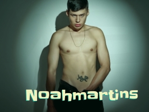 noahmartins Wanna Meet