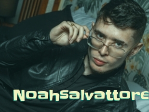 Noahsalvattore