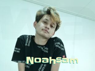 Noahsam