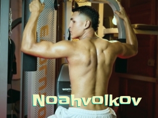 noahvolkov Wanna Meet