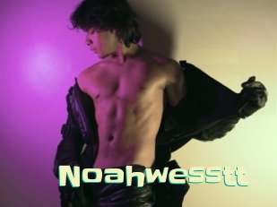 Noahwesstt
