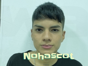nohascot Wanna Meet