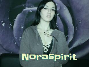 Noraspirit