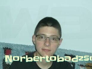 Norbertobadzso