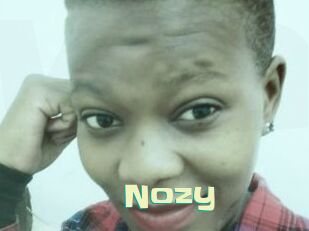 Nozy
