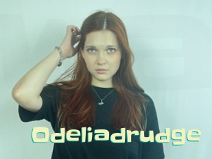 Odeliadrudge