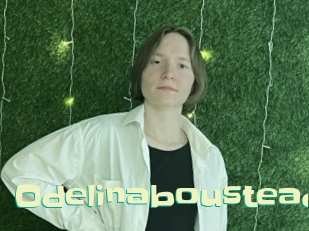 Odelinaboustead