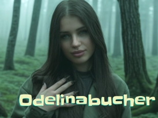 Odelinabucher