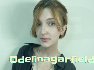 Odelinagarfield