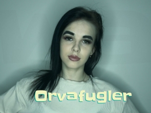 Orvafugler