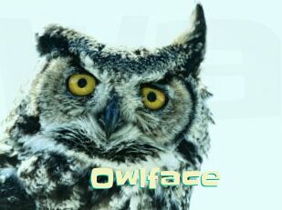 Owlface