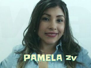 PAMELA_zv