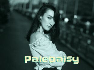 PaleDaisy Wanna Meet