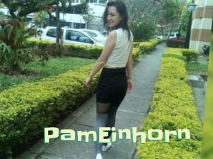 PamEinhorn