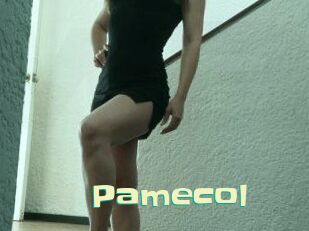 Pamecol