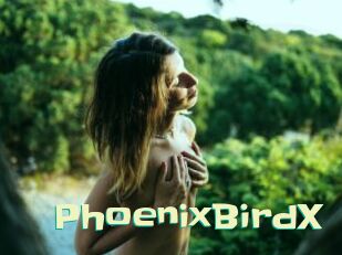 PhoenixBirdX