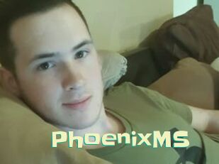 PhoenixMS