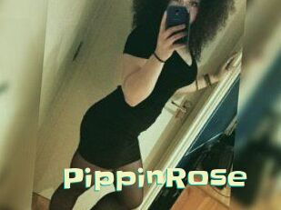 PippinRose