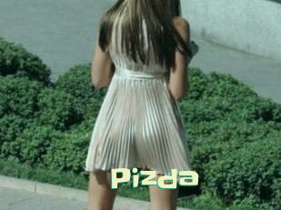 Pizda Wanna Meet