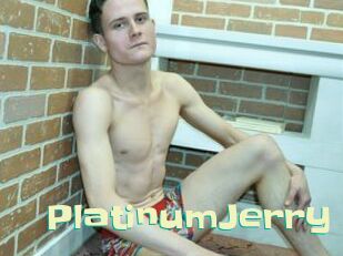 PlatinumJerry