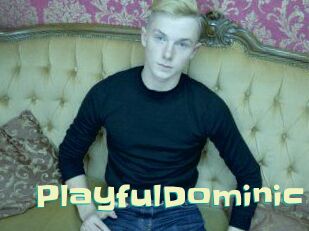 PlayfulDominic