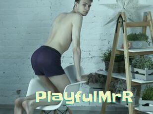 PlayfulMrR