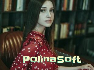 PolinaSoft