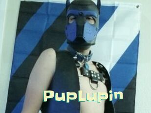 PupLupin Wanna Meet