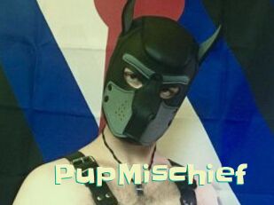 PupMischief